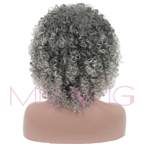 16" Long Afro Curly Wig Silver/Grey - Plug Fashions